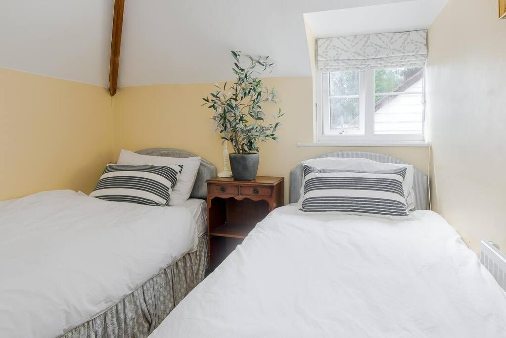 Adorable 2 Bedroom *